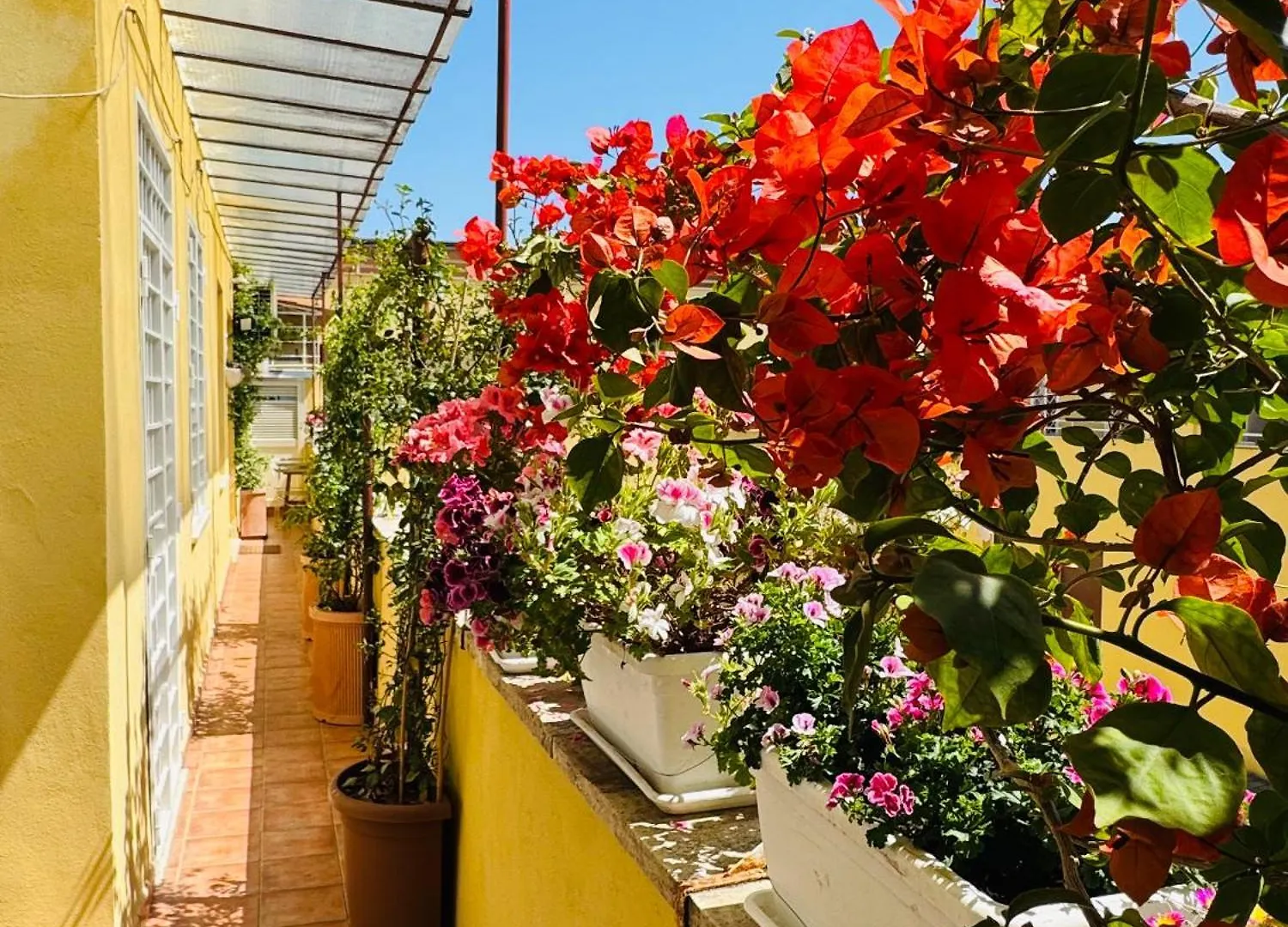 Otranto 36 Apartment Rome